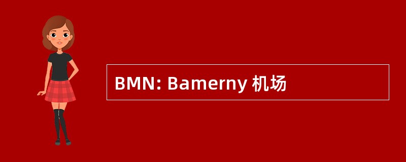 BMN: Bamerny 机场