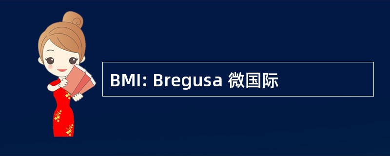 BMI: Bregusa 微国际