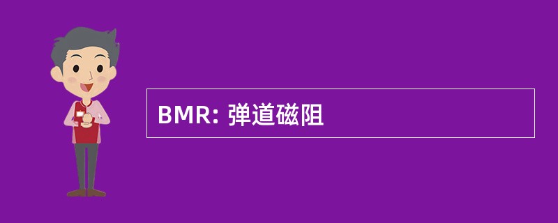 BMR: 弹道磁阻