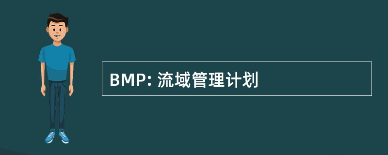 BMP: 流域管理计划