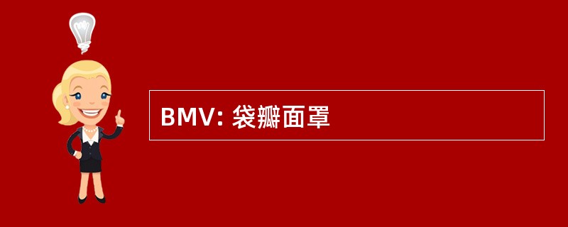 BMV: 袋瓣面罩