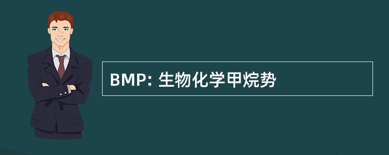 BMP: 生物化学甲烷势