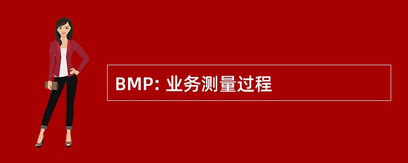 BMP: 业务测量过程