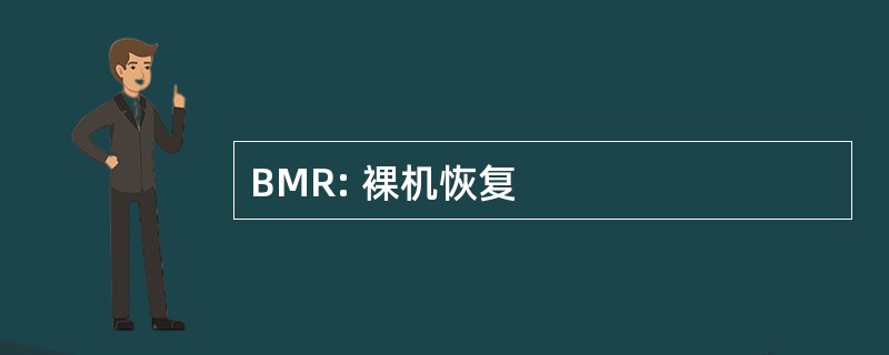 BMR: 裸机恢复