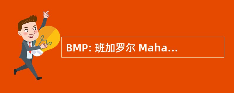 BMP: 班加罗尔 Mahanagara Palike