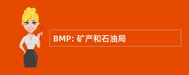 BMP: 矿产和石油局