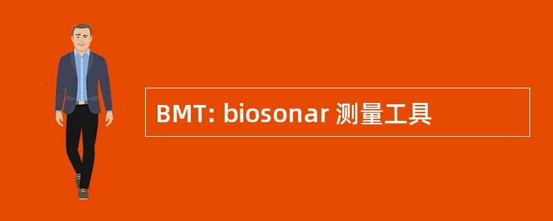 BMT: biosonar 测量工具