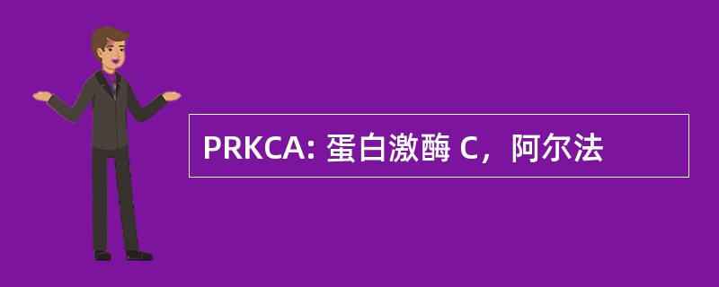 PRKCA: 蛋白激酶 C，阿尔法