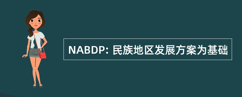 NABDP: 民族地区发展方案为基础