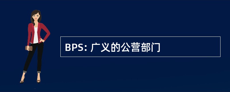 BPS: 广义的公营部门