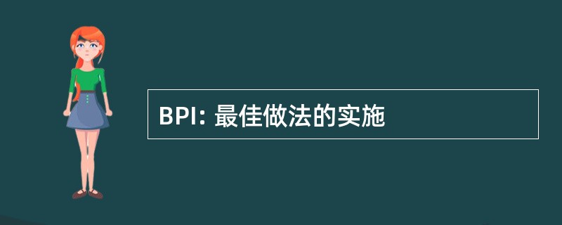 BPI: 最佳做法的实施