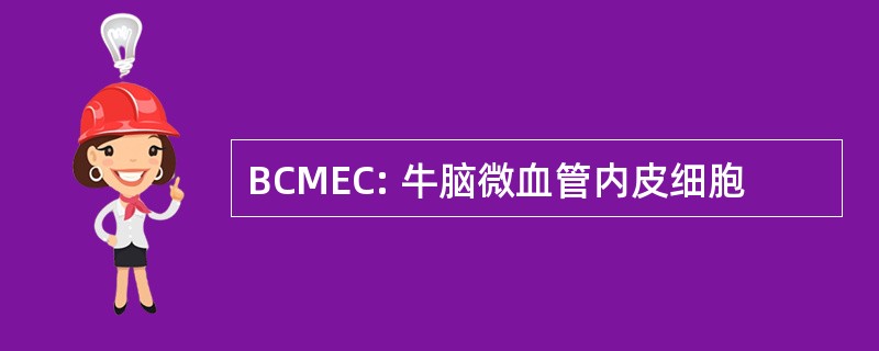 BCMEC: 牛脑微血管内皮细胞