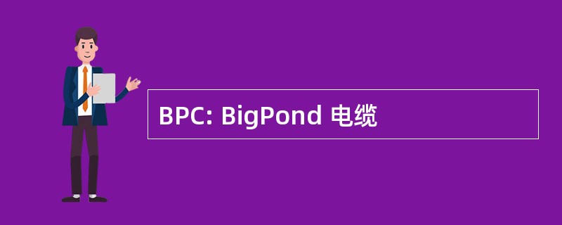 BPC: BigPond 电缆