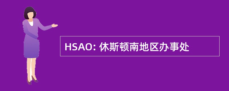 HSAO: 休斯顿南地区办事处