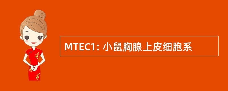 MTEC1: 小鼠胸腺上皮细胞系