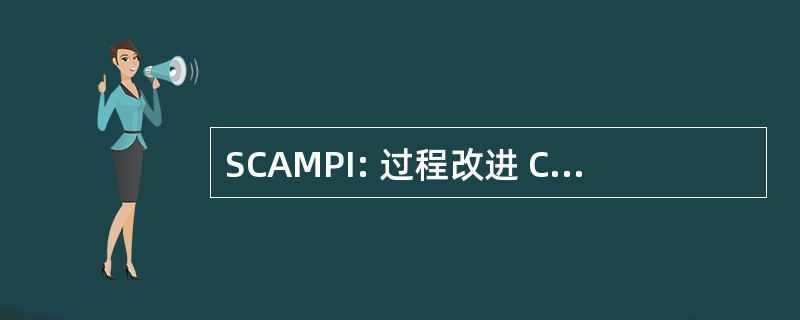 SCAMPI: 过程改进 CMMI 标准评估方法