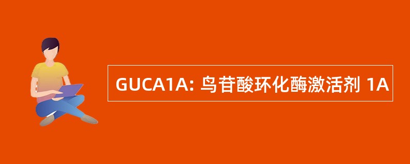 GUCA1A: 鸟苷酸环化酶激活剂 1A