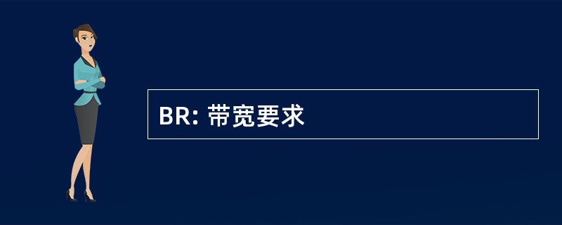 BR: 带宽要求