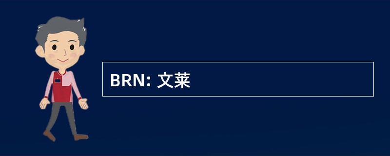 BRN: 文莱