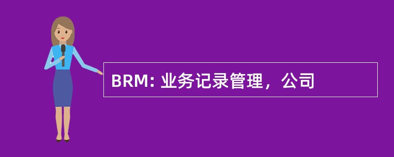 BRM: 业务记录管理，公司