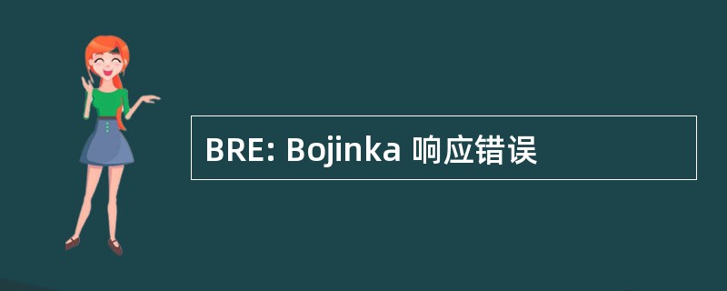 BRE: Bojinka 响应错误