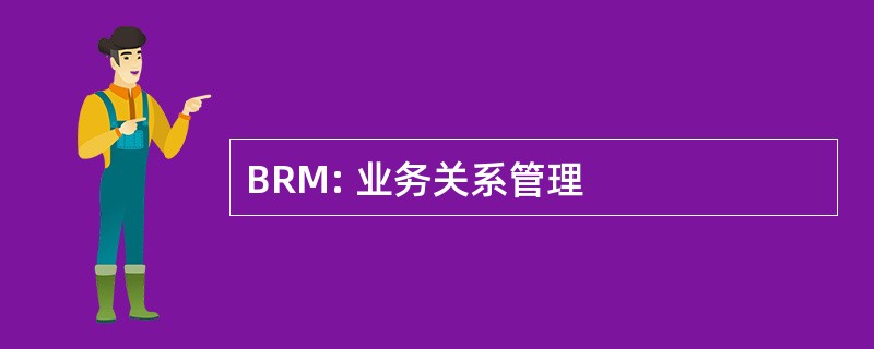 BRM: 业务关系管理