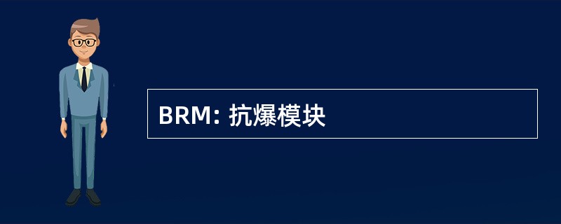 BRM: 抗爆模块