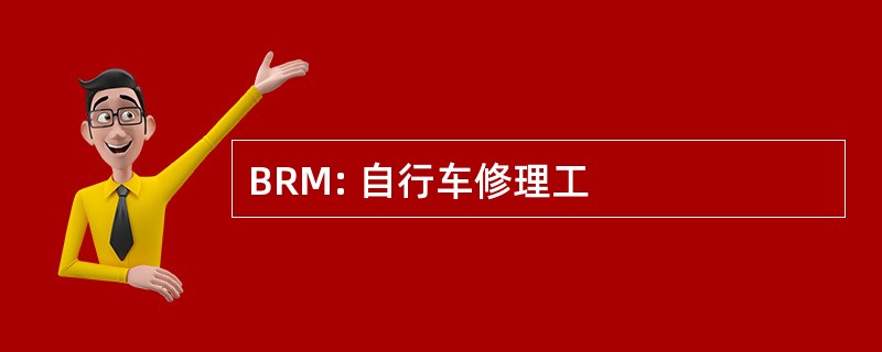 BRM: 自行车修理工