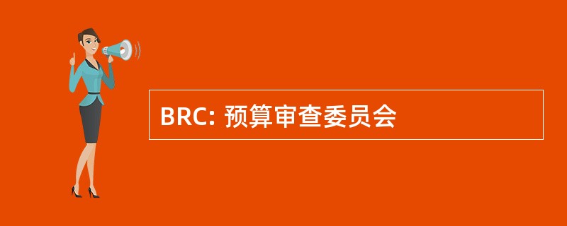 BRC: 预算审查委员会