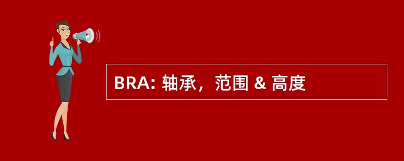 BRA: 轴承，范围 & 高度