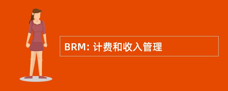 BRM: 计费和收入管理