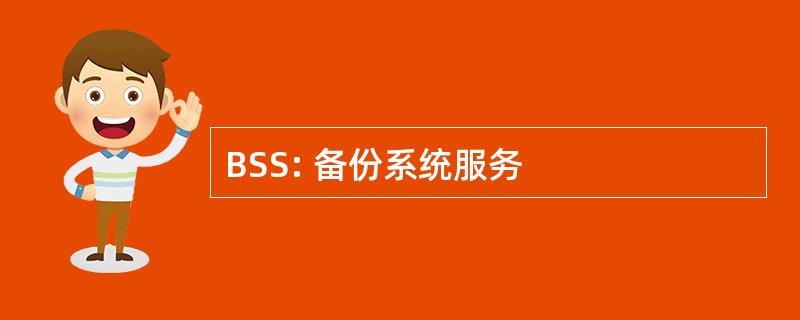 BSS: 备份系统服务