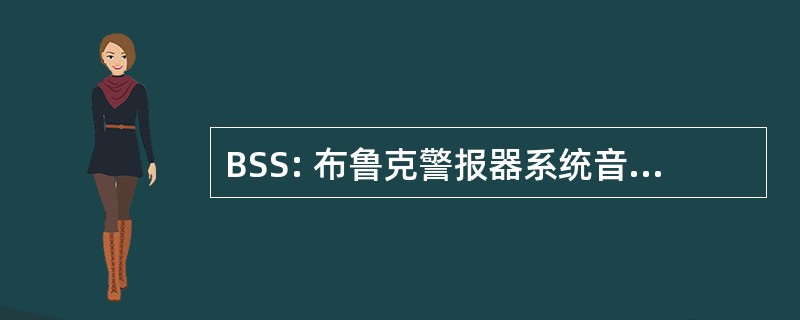 BSS: 布鲁克警报器系统音频有限公司