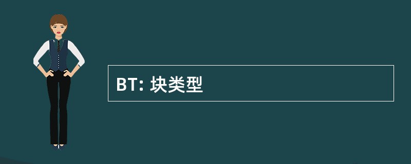 BT: 块类型