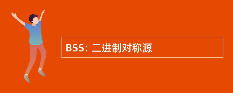 BSS: 二进制对称源