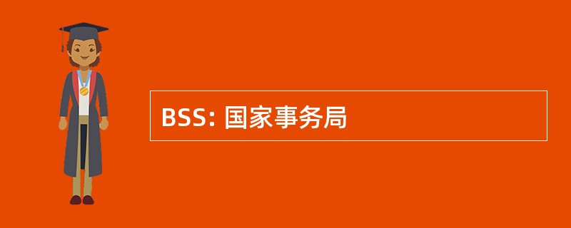 BSS: 国家事务局