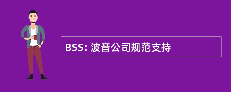 BSS: 波音公司规范支持