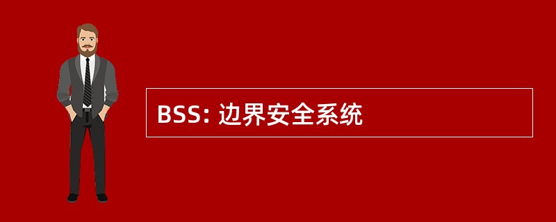 BSS: 边界安全系统