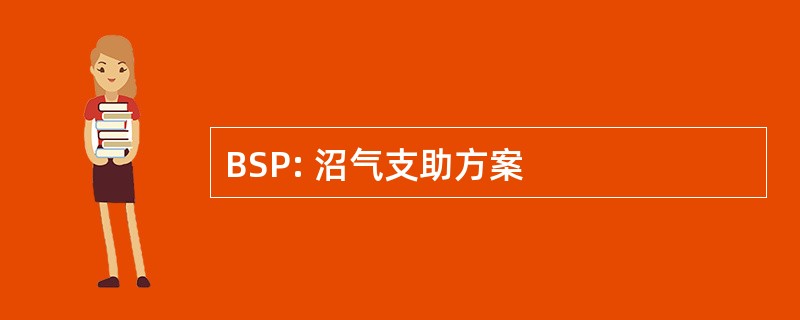 BSP: 沼气支助方案