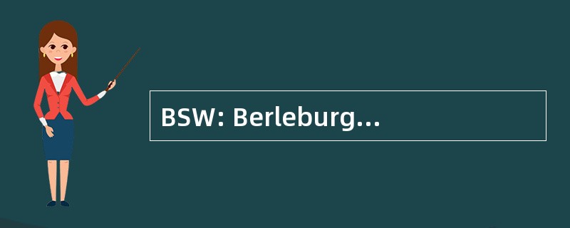 BSW: Berleburger Schaumstoffwerk