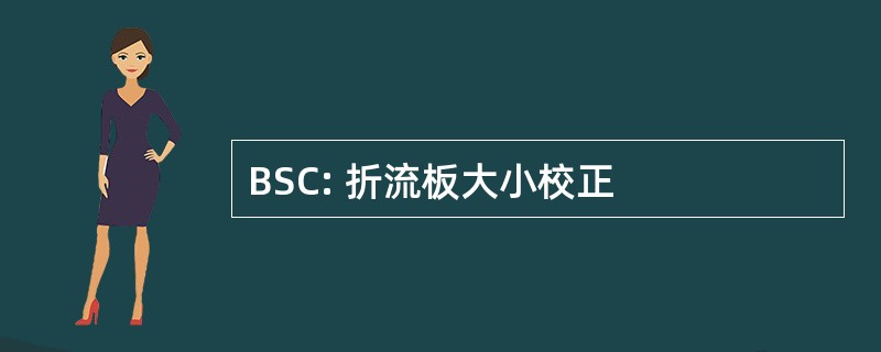 BSC: 折流板大小校正