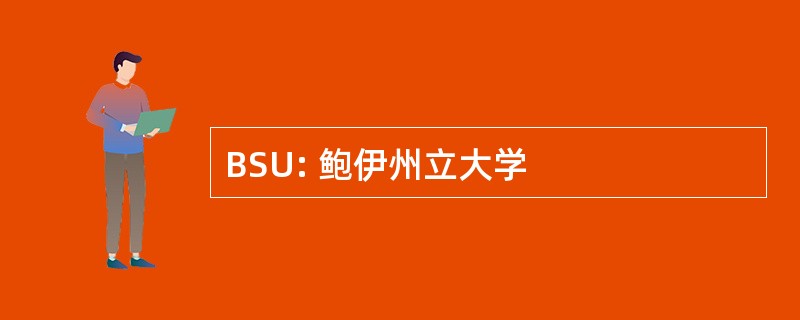 BSU: 鲍伊州立大学