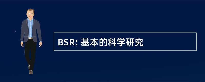 BSR: 基本的科学研究