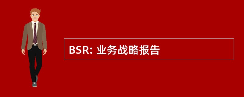 BSR: 业务战略报告