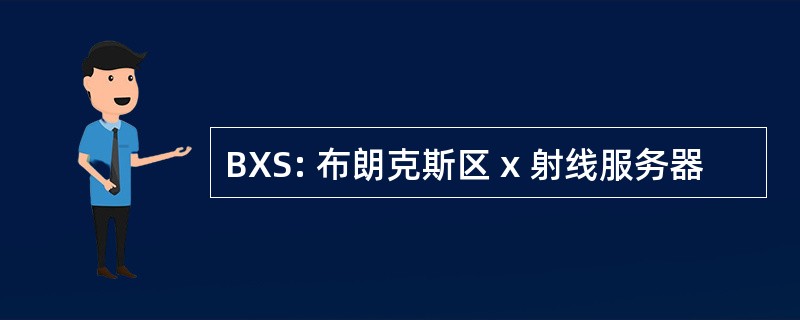 BXS: 布朗克斯区 x 射线服务器