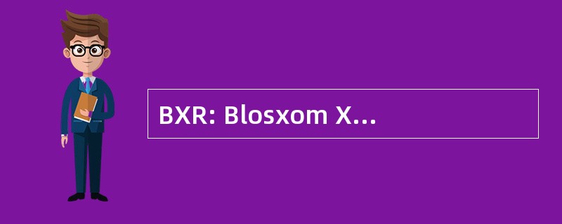 BXR: Blosxom XML RPC （远程过程调用 ； 软件）