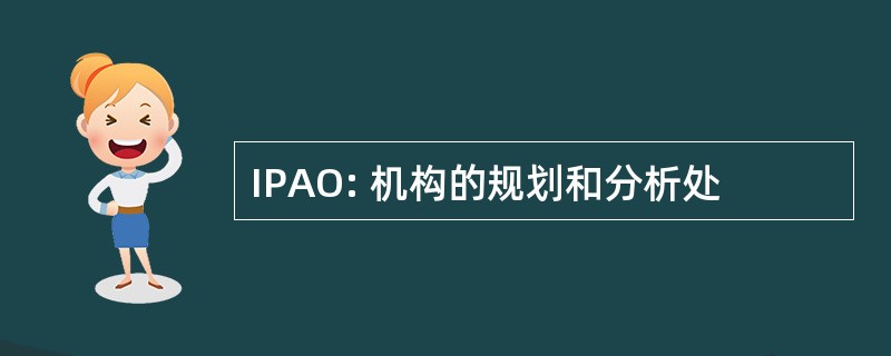 IPAO: 机构的规划和分析处