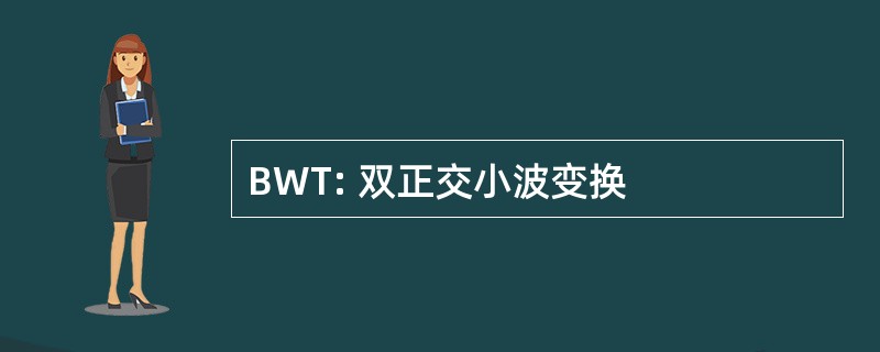 BWT: 双正交小波变换