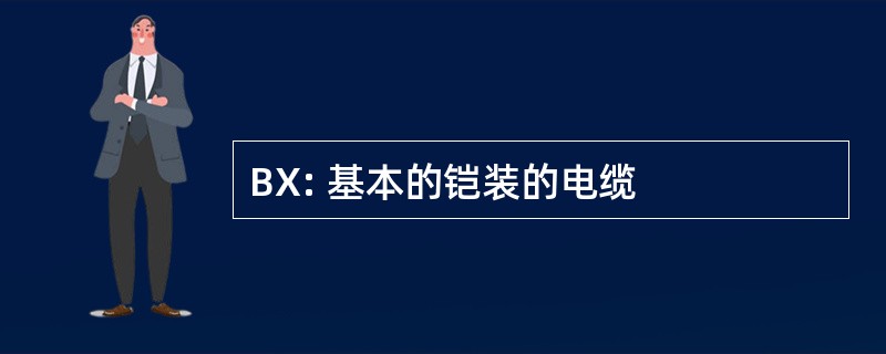 BX: 基本的铠装的电缆