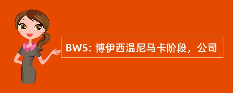 BWS: 博伊西温尼马卡阶段，公司